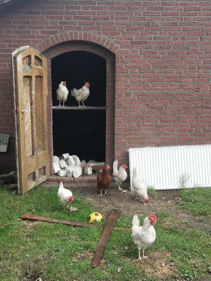 Betsie'S Place Grosssander Buitenkant foto